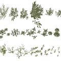 Diverse Shrub Collection with Various Foliage Shapes Sizes and Growth Patterns 3d model
