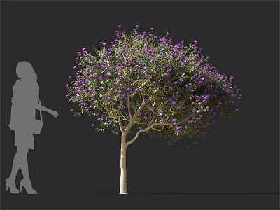 Arbor With Vibrant Purple Flowers And Woman Silhouette In Gray Background 3d model