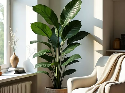 Hanging Basket Plant with Large Green Leaves in Bright Indoor Living Room 3d model
