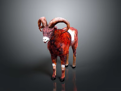 Reddish Brown And White Ram With Large Curved Horns Standing On Dark Background 3d model
