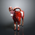 Reddish Brown And White Ram With Large Curved Horns Standing On Dark Background 3d model