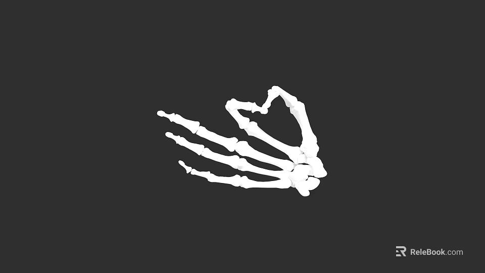 Human Hand Skeleton Anatomical Structure Detailed Bone Illustration White on Black Background 3d model