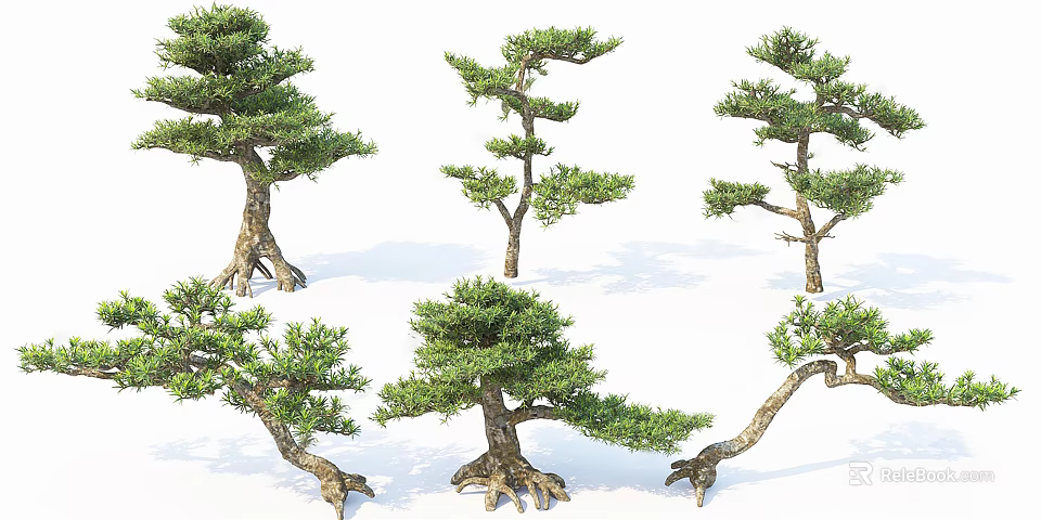 Various Form Bonsai Arbor With Lush Foliage Twisted Trunks And Exposed Roots 3d model 