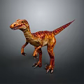 Realistic Velociraptor Dinosaur With Red Brown Yellow Skin Standing Pose And Detailed Texture