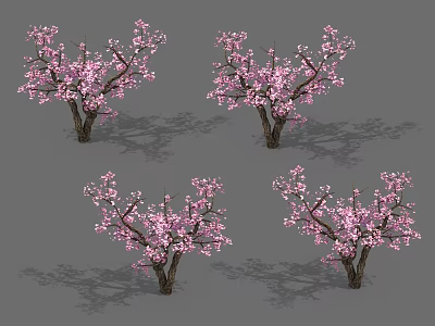 Pink Blossoming Arbor Trees With Detailed Branches And Floral Blooms 3d model