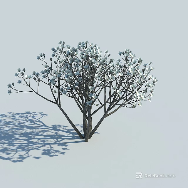 Blooming White Flowering Arbor with Branches and Shadow in Light Scene 3d model