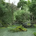 Tranquil Natural Scenery With Forest River Mossy Rocks And Lush Trees