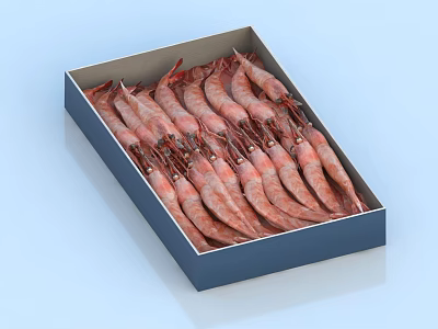 Fresh Aquatic Animals Shrimp Arranged Neatly in Blue Box 3d model