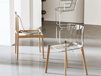Modern Leisure Chair With Transparent Design And Wooden Legs In Interior 3d model