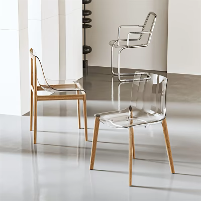Modern Leisure Chair With Transparent Design And Wooden Legs In Interior 3d model