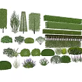 Diverse Garden Plant Combinations with Trees Shrubs Hedges and Flowering Plants