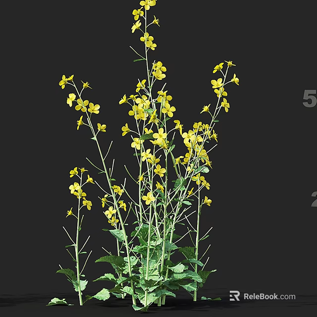 Vibrant Yellow Flowers With Green Stems And Fresh Leaves In Bloom 3d model 