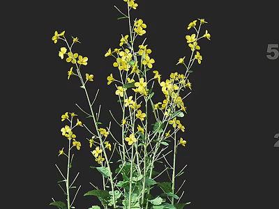 Vibrant Yellow Flowers With Green Stems And Fresh Leaves In Bloom 3d model