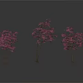 Three Slender Trees With Pink Flowers On White Background And Reflections