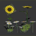 Vibrant Floral Arrangement With Yellow Sunflowers White Flowers And Green Leaves