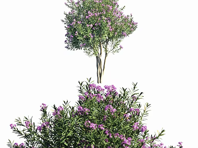 Lush Vibrant Green Shrub With Purple Flowers In Garden Landscape Design 3d model