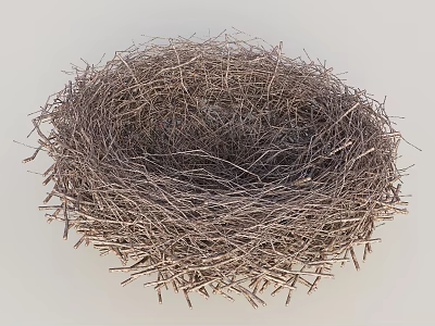 Natural Bird Nest Design Made Of Twigs And Wild Branches 3d model