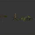Plants With Dried Trees Exposed Roots And Green Leafy Branches On White Background