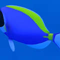 Vibrant Blue And Green Tropical Fish With Black Face Swimming In Blue Water
