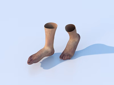 Realistic Humanoid Prosthetic Feet With Anatomical Design On Light Blue Background 3d model