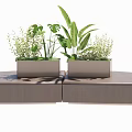 Two Rectangular Tree Planters With Green Plants On Wooden Platform 3d model