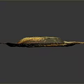 Natural Scenic Shell Shaped Rock Formation With Golden Copper Sheen On Dark Background
