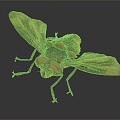 Modern fly insect cartoon fly animation fly anime fly anime character 3d model