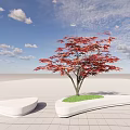 White Curved Tree Planter Featuring Red Maple Tree On Tiled Ground With Blue Sky And White Clouds
