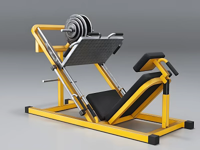 Professional Strength Training Gym Equipment With Yellow Frame Black Padded Seat And Weight Plates 3d model