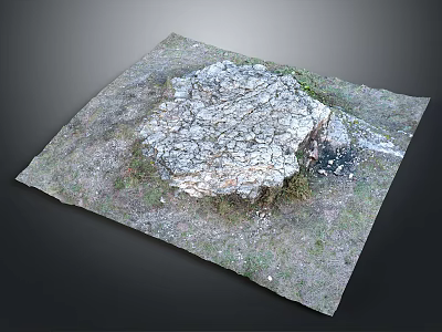 Natural Wood And Stone Outdoor Landscape With Rustic Texture And Green Grass 3d model
