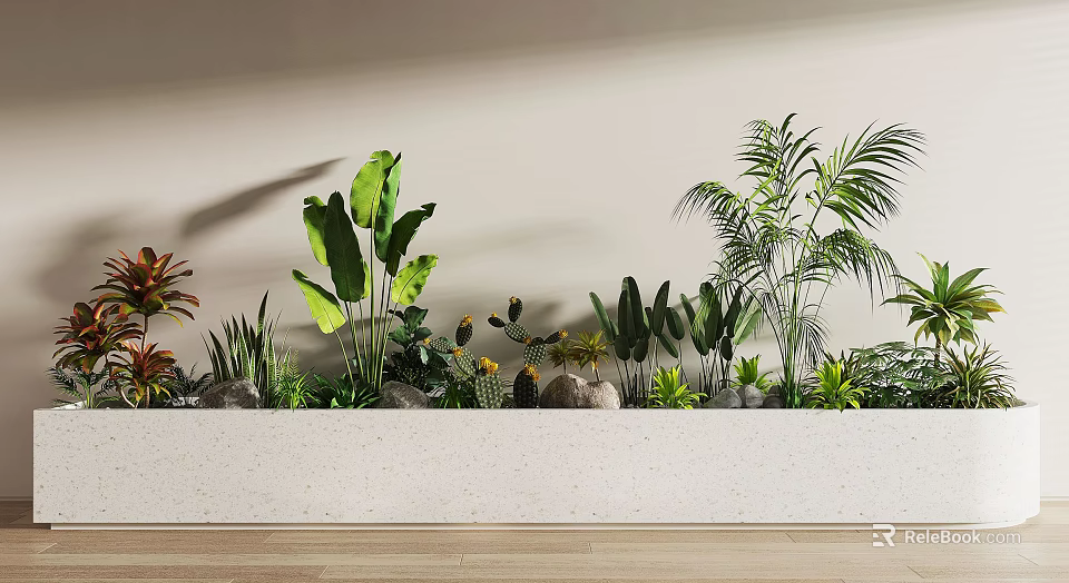 Various Types of Potted Plants in Long White Planter Against Light Wall and Wooden Floor 3d model 