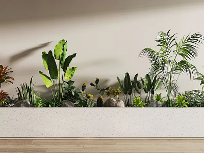 Various Types of Potted Plants in Long White Planter Against Light Wall and Wooden Floor 3d model