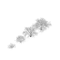 Snow Covered Arbor Trees with Frosty Branches and White Snow in Winter Natural Scene