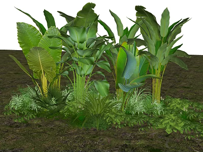 Various Green Tropical Plants With Lush Foliage And Different Leaf Shapes In Natural Garden 3d model