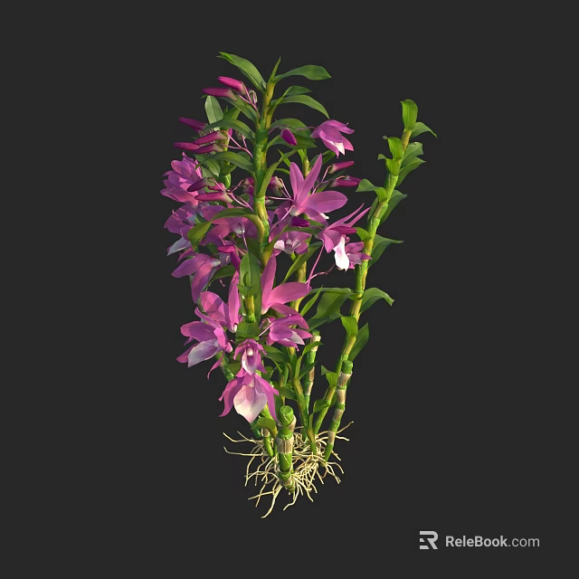 Vibrant Purple Flowers With Green Stems And Visible Roots On 3d model 