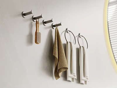 Modern Bathroom Wall Mounted Rack With Hooks Holding Brush And Towels 3d model