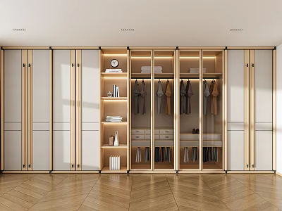 Modern Wardrobe Interior Design With Hanging Rods Shelves Drawers And Organizational Storage 3d model