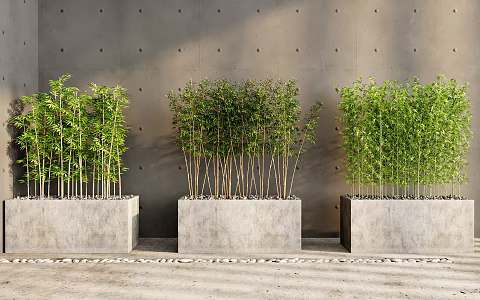 Bamboo Forest Landscape Bamboo Garden Forest Bamboo 3d model