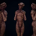 Three Fantasy Alien Game Movie Characters With Textured Bodies In Standing Pose