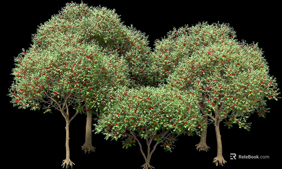 Multiple Lush Arbor Trees With Green Foliage Red Fruits Trunks And Exposed Roots 3d model 