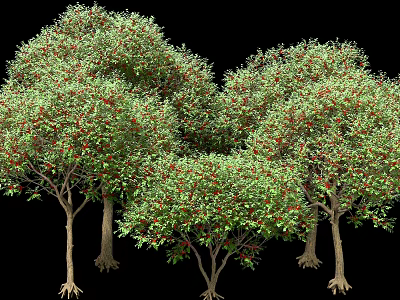 Multiple Lush Arbor Trees With Green Foliage Red Fruits Trunks And Exposed Roots 3d model