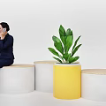 Interactive Space With Woman Sitting On Wooden Top White Concrete Bench And Yellow Planter Plant