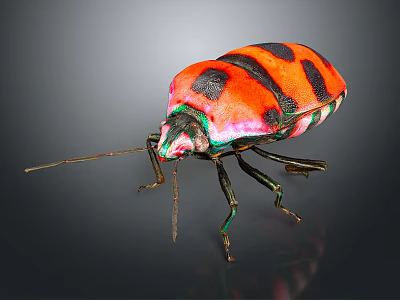 Red and Black Beetle Showcasing Vibrant Green and Pink Iridescent Colors on Dark Background 3d model