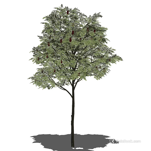 Lush Arbor With Green Leaves And Red Fruits On Black Trunk 3d model 
