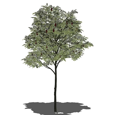 Lush Arbor With Green Leaves And Red Fruits On Black Trunk 3d model