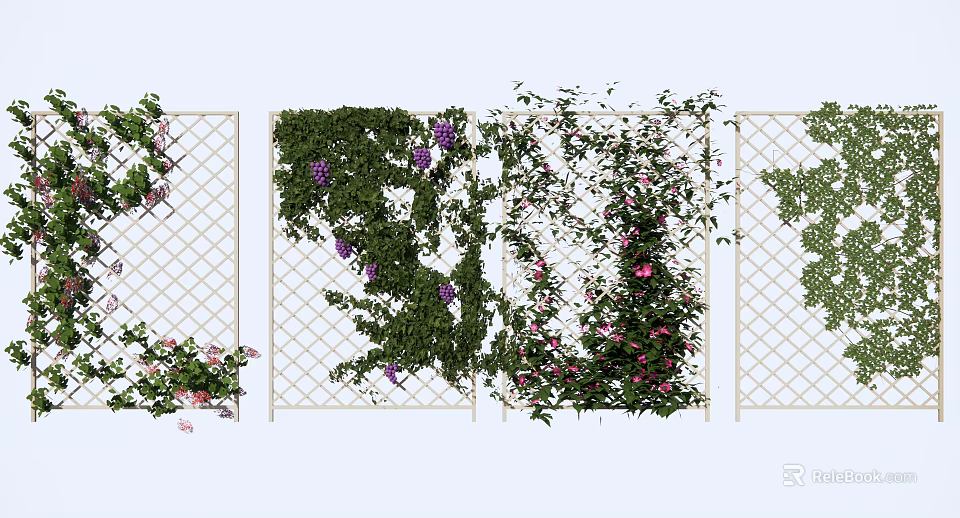 Climbing Vines Growing On Lattice Fence With Purple Pink Flowers And Green Leaves 3d model 