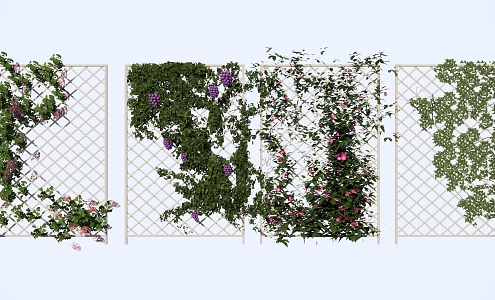 Modern Vine Plant Climbing Plant Flower Rack Parthenocissus Creeper Grapevine Rose Campsis 3d model