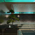 Modern Garden Ornament with Small Pine Tree Water Fountain Stone Steps and Textured Wall Design