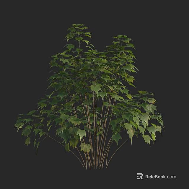 Lush Green Arbor With Multiple Branches And Healthy Leaf Growth 3d model