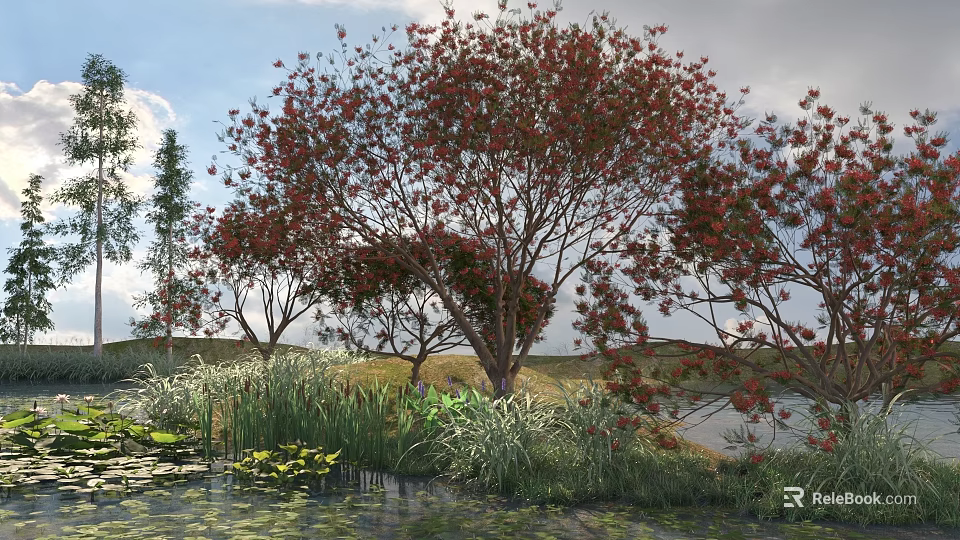 Red Leaved Arbor With Water Pond And Aquatic Plants In Grassland 3d model 